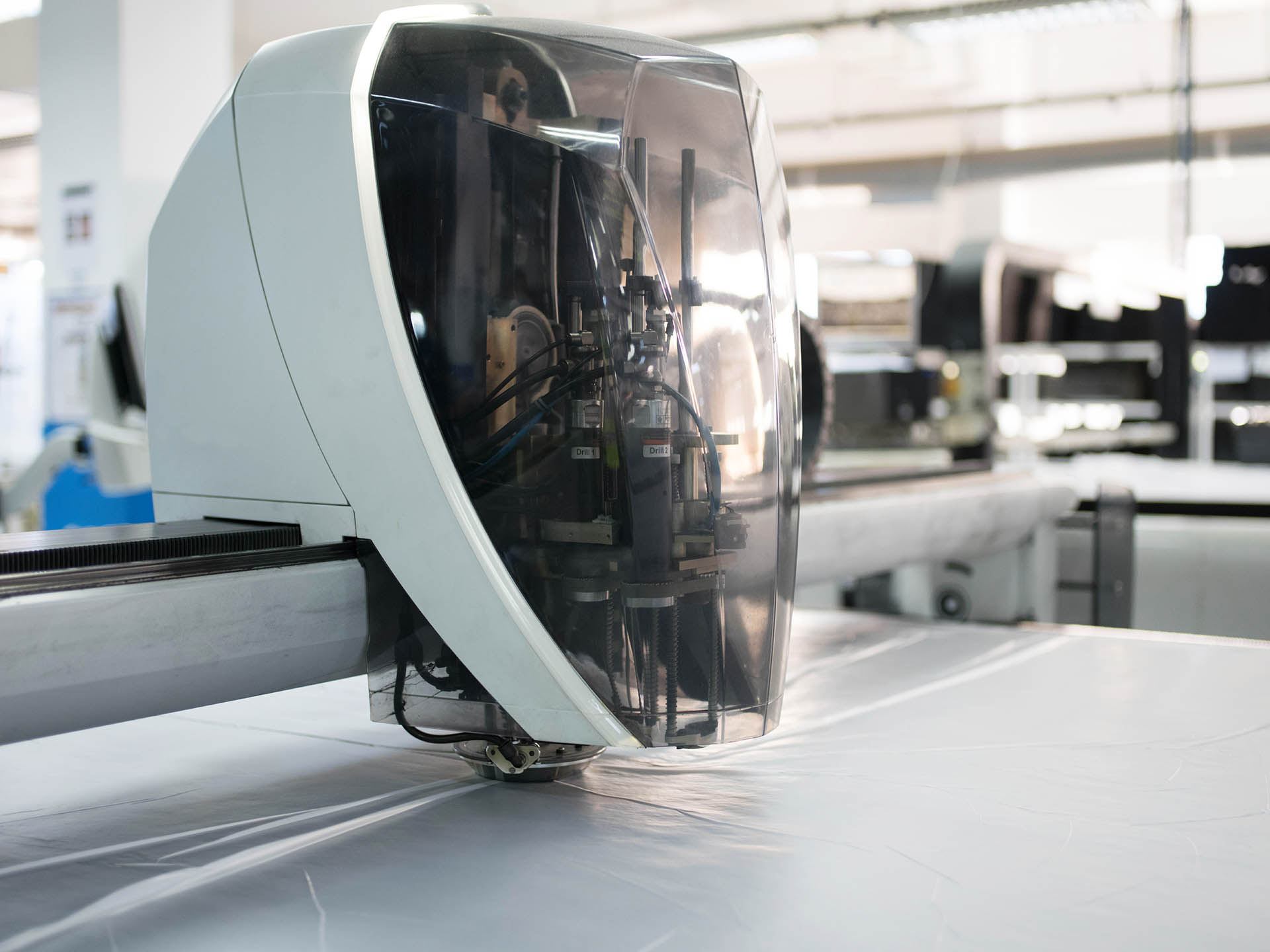 Tesca Diniz Kesim Dikim